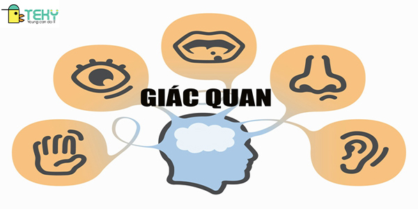 Phát triển giác quan của trẻ tự kỷ