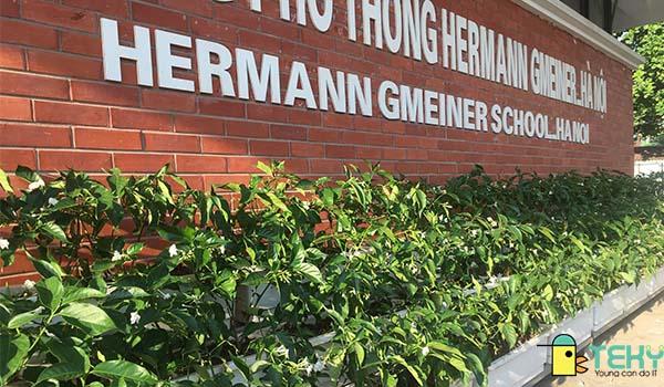 Có nên chọn trường tiểu học Hermann Gmeiner