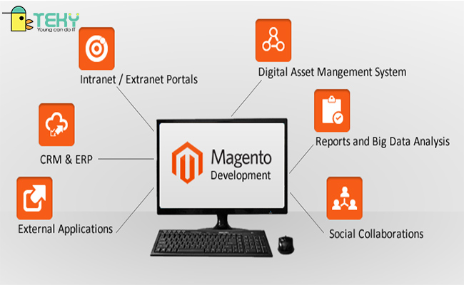 Cần biết điều gì khi thiết kế Magento