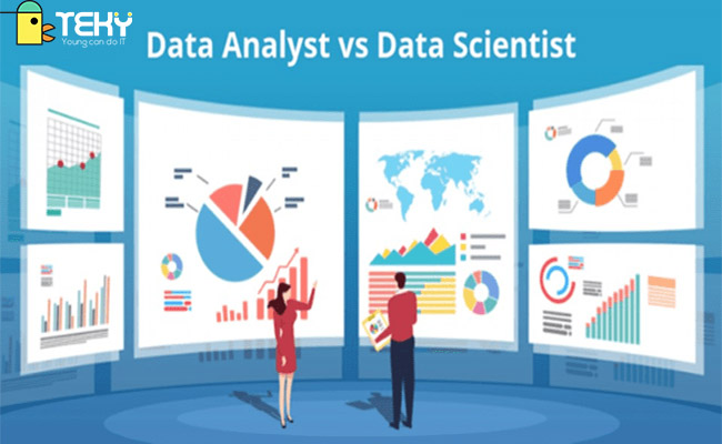 Tầm quan trọng của Data Analyst là gì