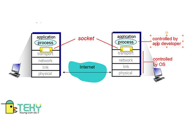 TCP Socket là gì?
