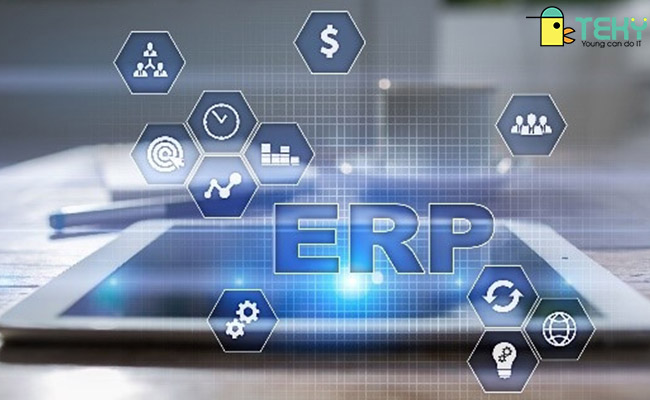 Tầm quan trọng của ERP Consultant