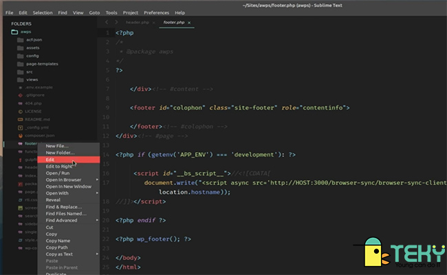 sublime text editor online