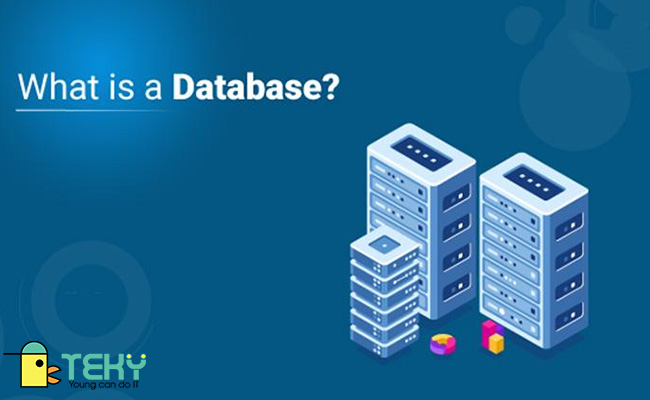 Định nghĩa Database là gì?