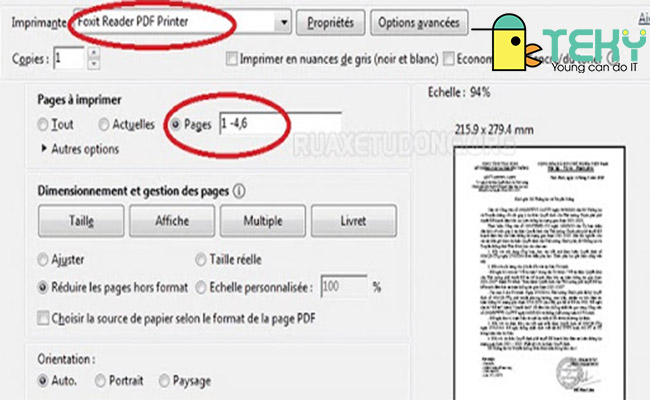 Lựa chọn thông tin PDF