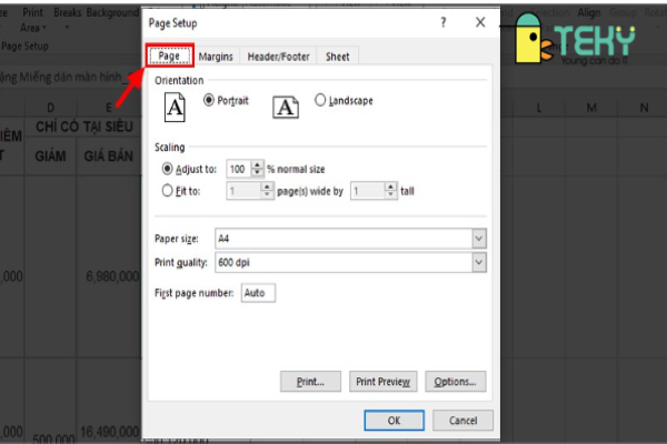 Hướng dẫn cách in Excel vừa trang giấy A4