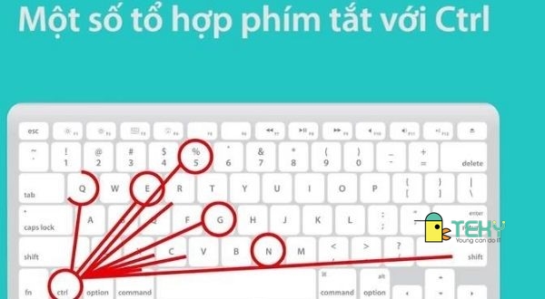 Phím tắt dùng trong excel