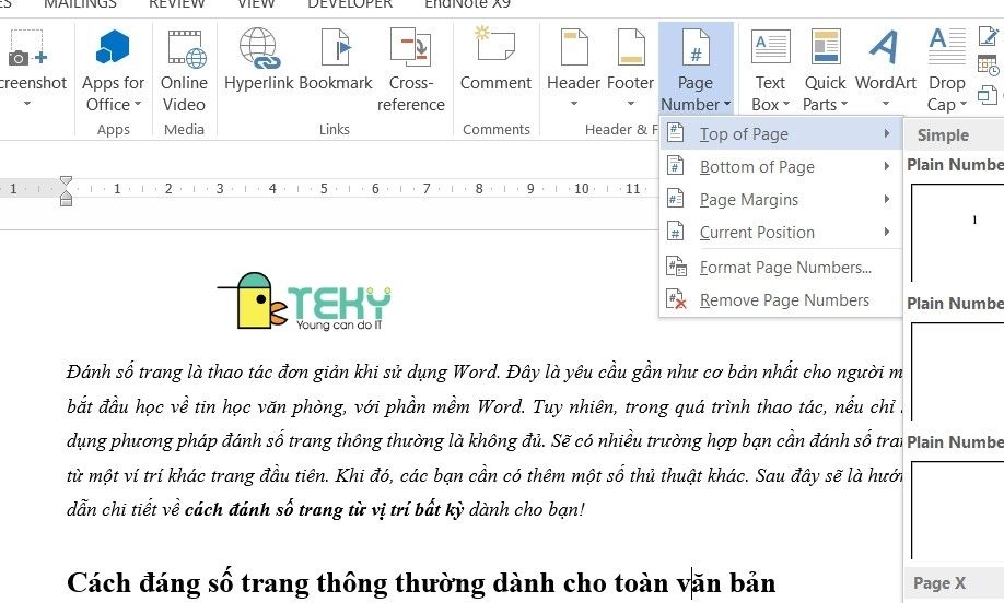 Cách đánh số trang thông thường dành cho toàn văn bản