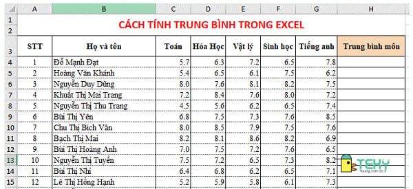 Làm sao để sử dụng hàm Average để tính điểm trung bình môn cả năm trong Excel?
