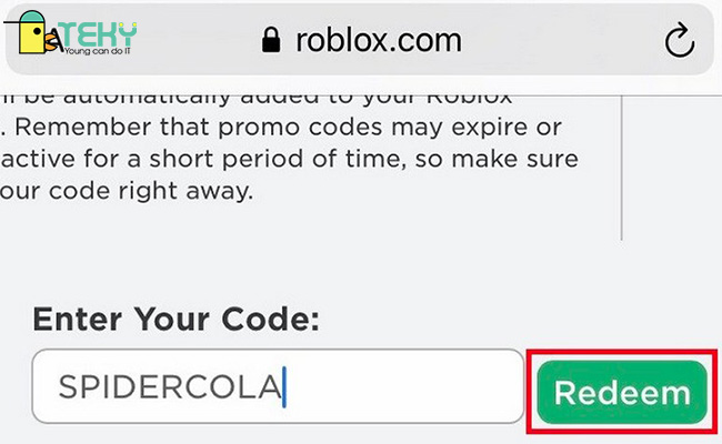 Hãy nhập code Roblox vào ô này
