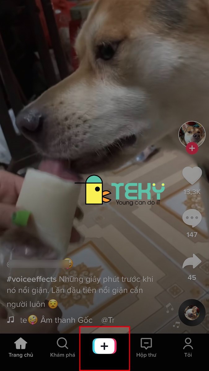 Cách đăng video lên tiktok chỉ với vài bước đơn giản