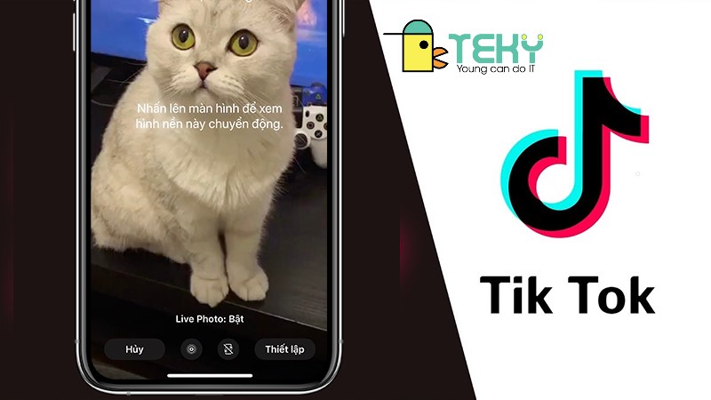 cách lấy video tik tok làm hình nền có nhạc