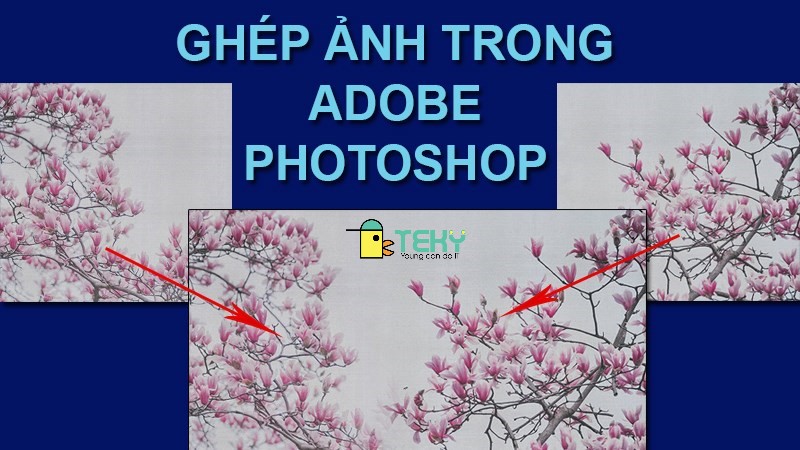 ghép ảnh trong photoshop