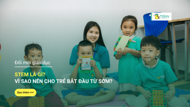 STEM là gì