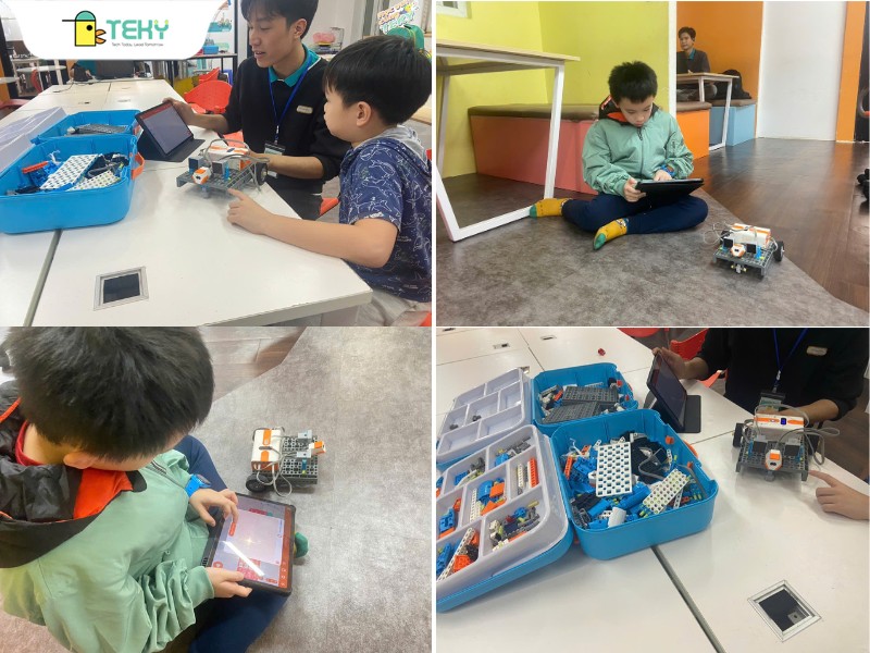 cac-con-den-tham-gia-trai-ngheim-tai-teky