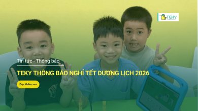 Lịch nghỉ tết Dương lịch 2026