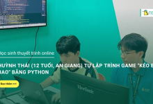 học sinh thuyết trình online